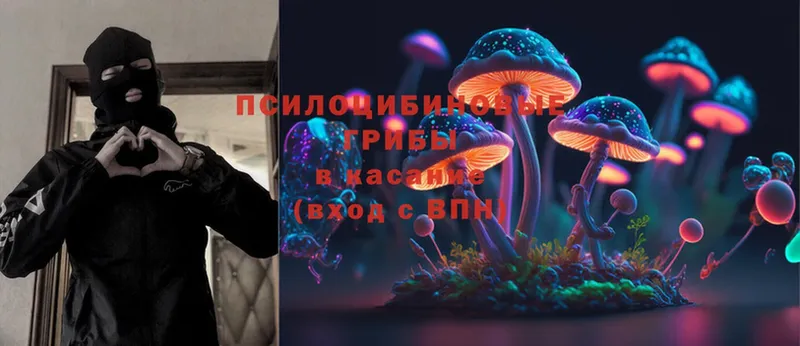 Псилоцибиновые грибы Psilocybine cubensis  где купить   Ермолино 